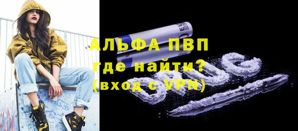 хмурый Няндома