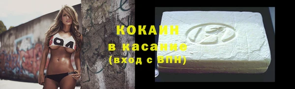 тгк Новодвинск