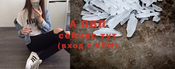 PSILOCYBIN Нефтекумск